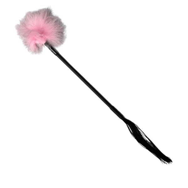 10 Pack Natural Ostrich Feathers Sex Room Decor