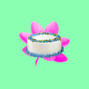 CAKE WALLET